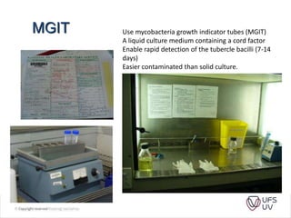 Mgit Phenotypic Testing Session 7 - TB diagnostics for DOH 2022 (2).pptx