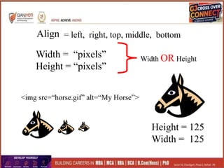 Align = left, right, top, middle, bottom
Width = “pixels”
Height = “pixels”
Width OR Height
<img src=“horse.gif” alt=“My Horse”>
Height = 125
Width = 125
 