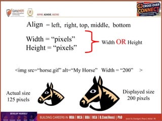 <img src=“horse.gif” alt=“My Horse” >
Align = left, right, top, middle, bottom
Width = “pixels”
Height = “pixels”
Width OR Height
Width = “200”
Actual size
125 pixels
Displayed size
200 pixels
 