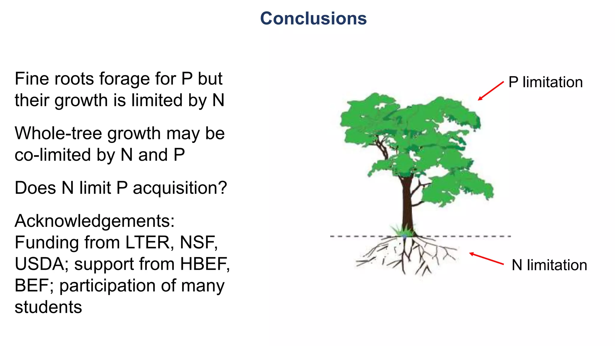 Conclusions
Fine roots forage for P but
their growth is limited by N
Whole-tree growth may be
co-limited by N and P
Does N limit P acquisition?
Acknowledgements:
Funding from LTER, NSF,
USDA; support from HBEF,
BEF; participation of many
students
P limitation
N limitation
 