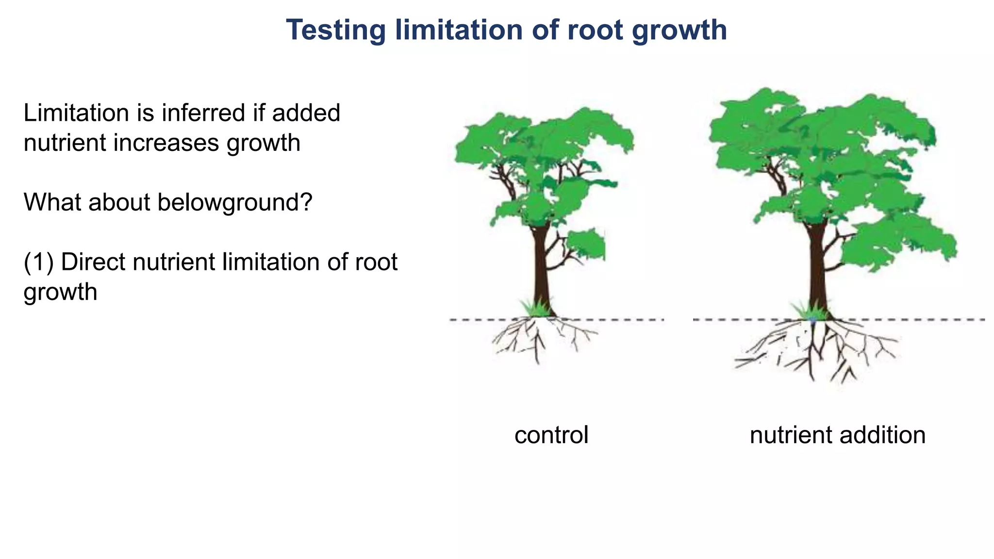 Testing limitation of root growth
control nutrient addition
Limitation is inferred if added
nutrient increases growth
What about belowground?
(1) Direct nutrient limitation of root
growth
 