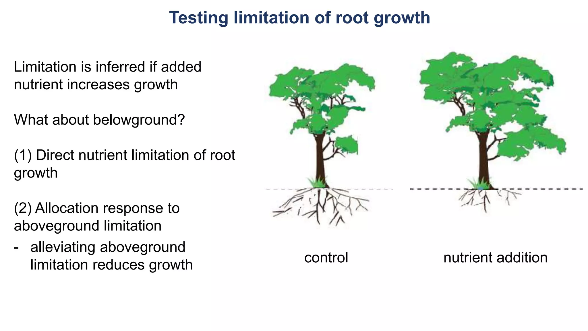 Testing limitation of root growth
control nutrient addition
Limitation is inferred if added
nutrient increases growth
What about belowground?
(1) Direct nutrient limitation of root
growth
(2) Allocation response to
aboveground limitation
- alleviating aboveground
limitation reduces growth
 