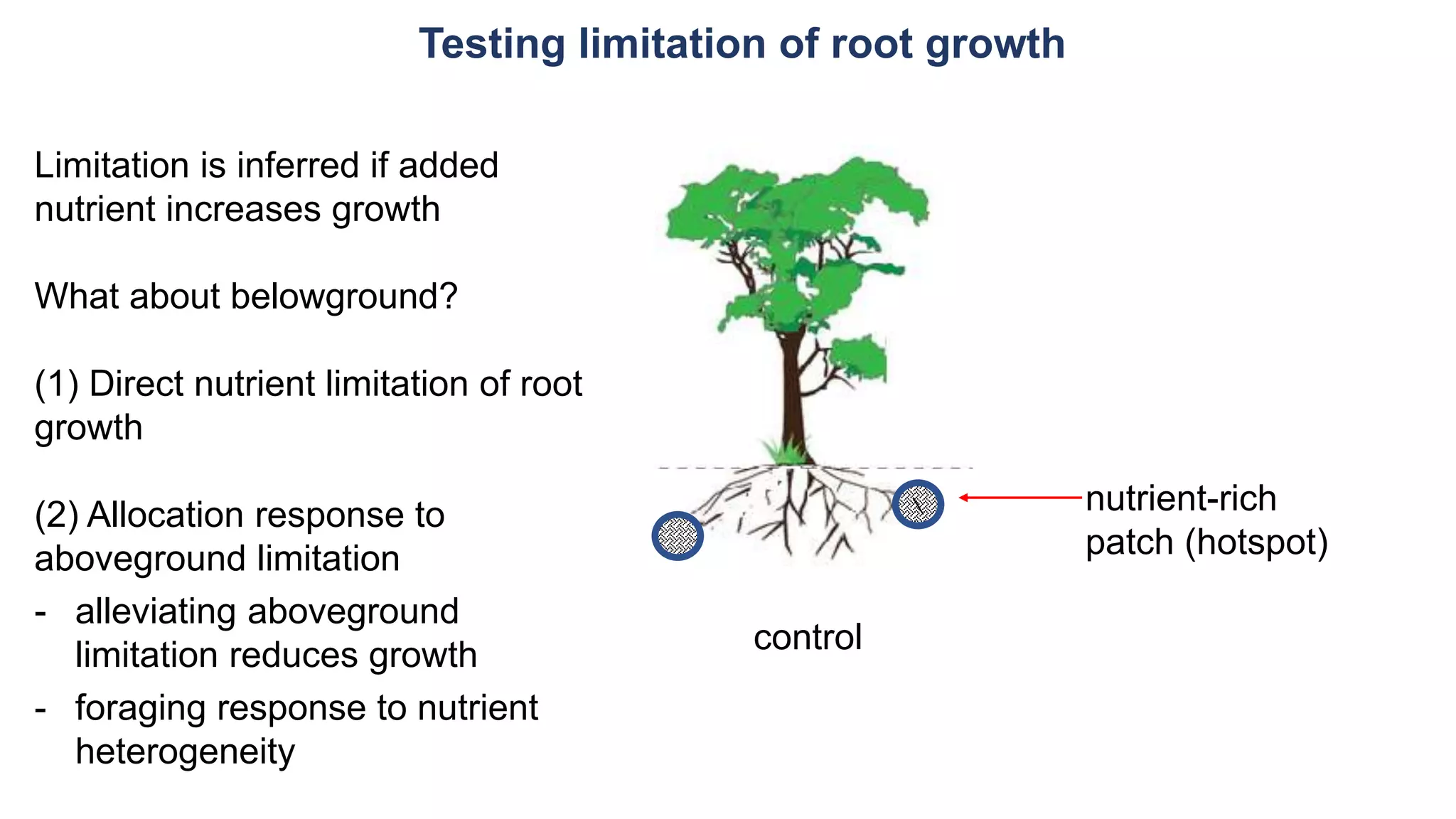 Testing limitation of root growth
control
nutrient-rich
patch (hotspot)
Limitation is inferred if added
nutrient increases growth
What about belowground?
(1) Direct nutrient limitation of root
growth
(2) Allocation response to
aboveground limitation
- alleviating aboveground
limitation reduces growth
- foraging response to nutrient
heterogeneity
 