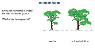 Testing limitation
control nutrient addition
Limitation is inferred if added
nutrient increases growth
What about belowgro...