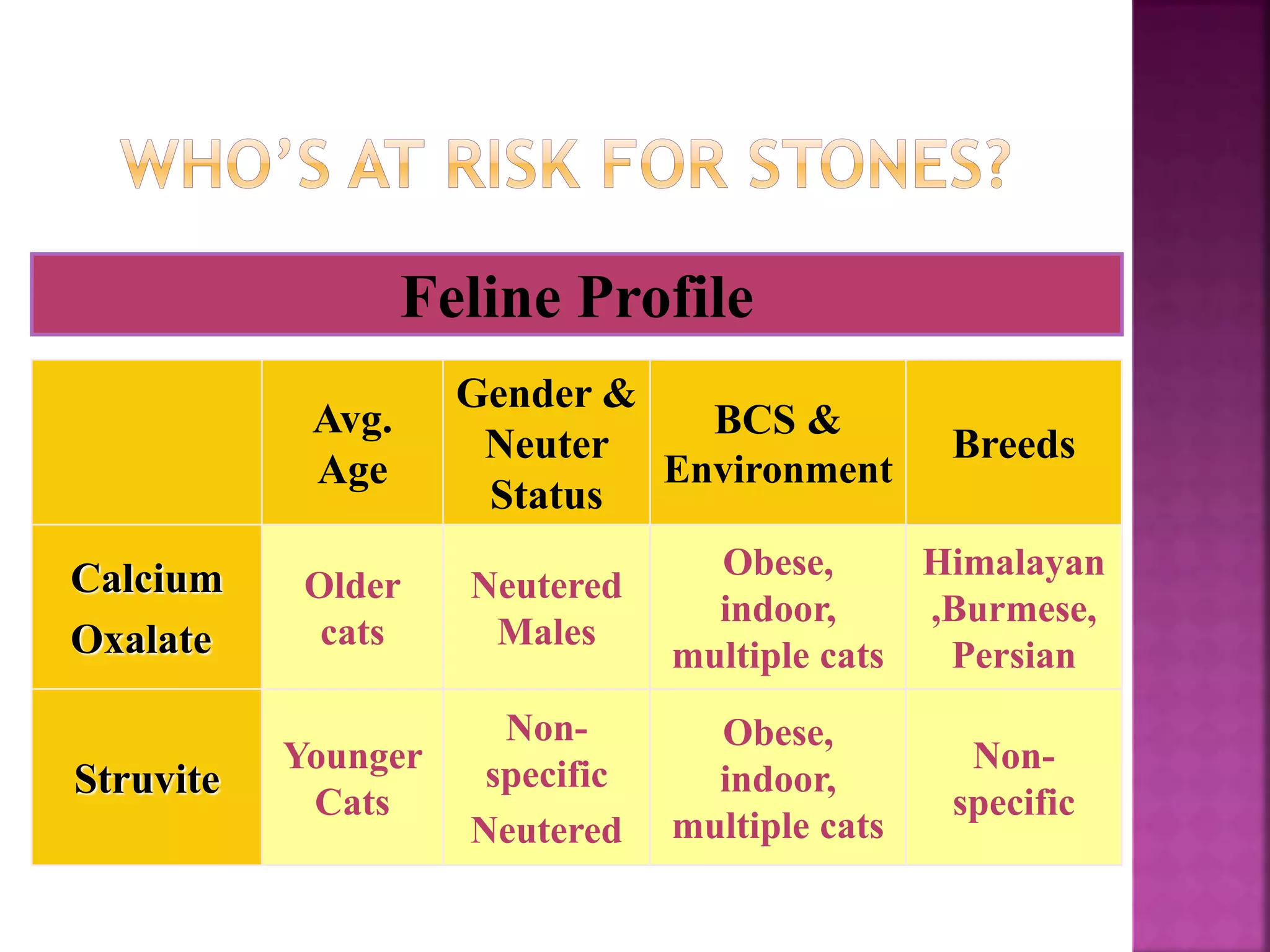 Feline Profile
Avg.
Age
Gender &
Neuter
Status
BCS &
Environment
Breeds
Calcium
Oxalate
Older
cats
Neutered
Males
Obese,
indoor,
multiple cats
Himalayan
,Burmese,
Persian
Struvite
Younger
Cats
Non-
specific
Neutered
Obese,
indoor,
multiple cats
Non-
specific
 