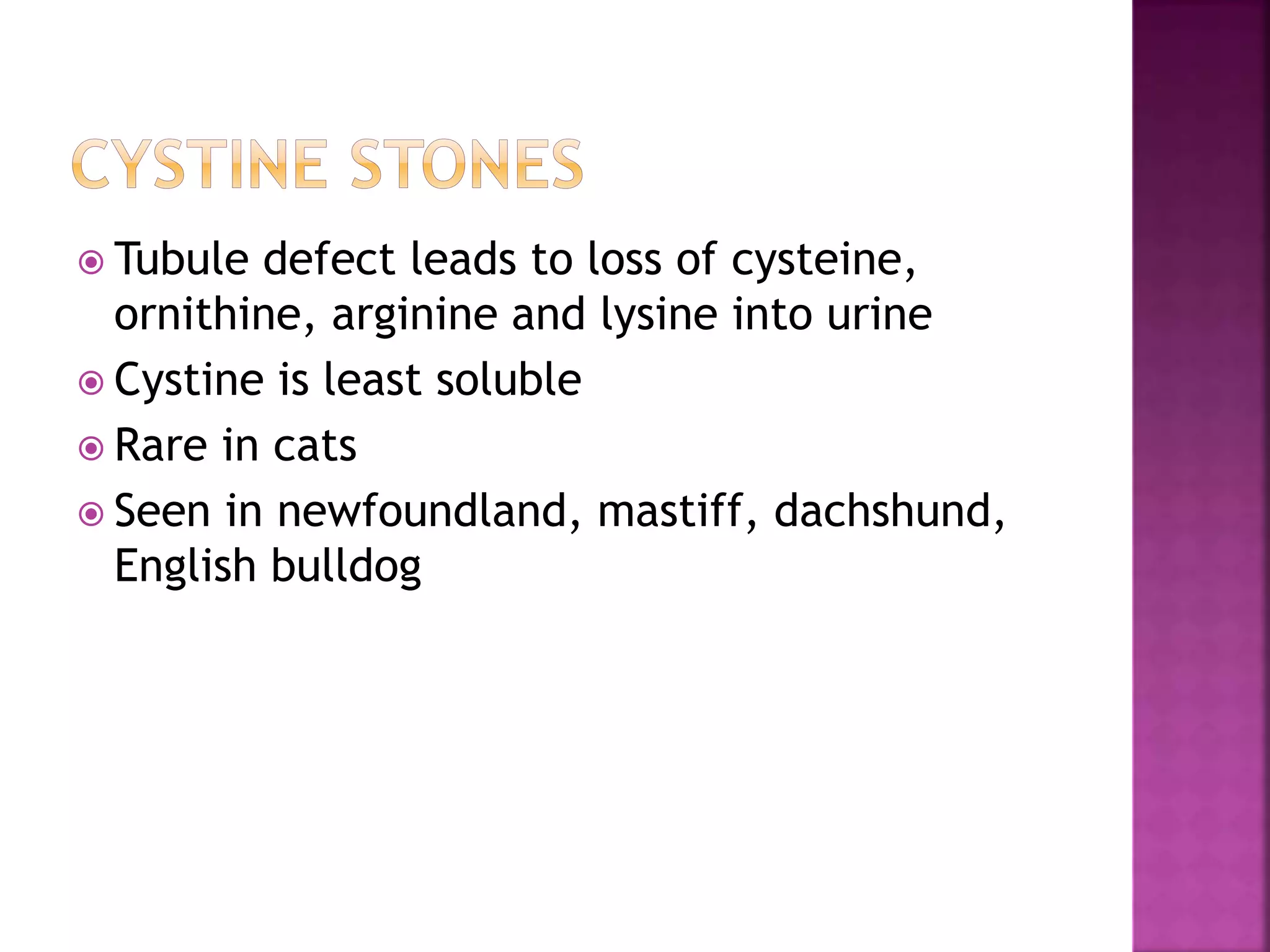  Tubule defect leads to loss of cysteine,
ornithine, arginine and lysine into urine
 Cystine is least soluble
 Rare in cats
 Seen in newfoundland, mastiff, dachshund,
English bulldog
 
