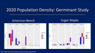 2020 Population Density: Germinant Study
American Beech Sugar Maple
Data collected and analyzed by Denise Rauschendorfer
 