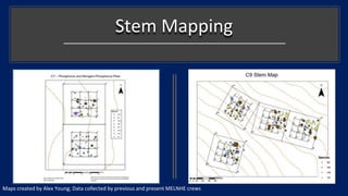 Stem Mapping
Maps created by Alex Young; Data collected by previous and present MELNHE crews
 
