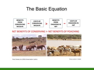 The Basic Equation
BENEFITS
FROM
CONSERVING
WILDLIFE
COSTS OF
CONSERVING
WILDLIFE
BENEFITS
FROM
ENGAGING IN
IWT
COSTS OF
E...