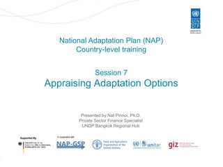 Slide 1
National Adaptation Plan (NAP)
Country-level training
Supported By In cooperation with
Session 7
Appraising Adaptation Options
Presented by Nat Pinnoi, Ph.D.
Private Sector Finance Specialist
UNDP Bangkok Regional Hub
 