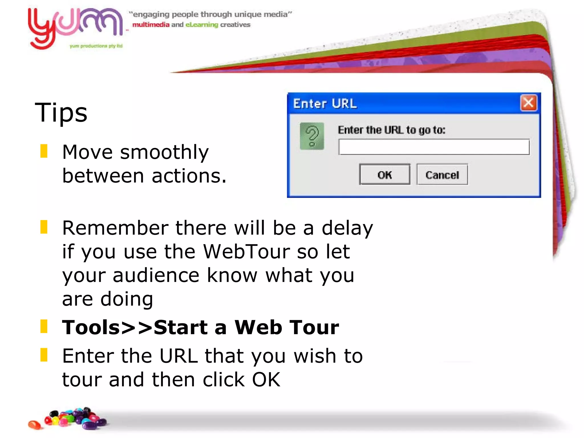 Tips Move smoothly  between actions.  Remember there will be a delay if you use the WebTour so let your audience know what you are doing Tools>>Start a Web Tour Enter the URL that you wish to tour and then click OK   