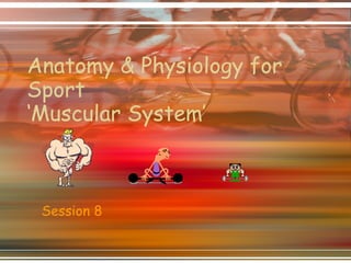 Anatomy & Physiology for Sport ‘Muscular System’ Session 8 