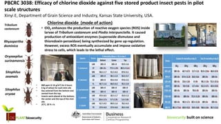 Session 8: Efficacy of chlorine dioxide against five stored product ...
