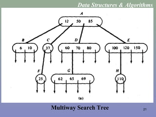 21Multiway Search Tree
Data Structures & Algorithms
 