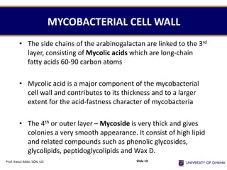 MYCOBACTERIAL CELL WALL
• The side chains of the arabinogalactan are linked to the 3rd
layer, consisting of Mycolic acids which are long-chain
fatty acids 60-90 carbon atoms
• Mycolic acid is a major component of the mycobacterial
cell wall and contributes to its thickness and to a larger
extent for the acid-fastness character of mycobacteria
• The 4th or outer layer – Mycoside is very thick and gives
colonies a very smooth appearance. It consist of high lipid
and related compounds such as phenolic glycosides,
glycolipids, peptidoglycolipids and Wax D.
Prof. Kwasi Addo, SON, UG Slide 10
 