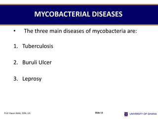 MYCOBACTERIAL DISEASES
• The three main diseases of mycobacteria are:
1. Tuberculosis
2. Buruli Ulcer
3. Leprosy
Prof. Kwasi Addo, SON, UG Slide 13
 