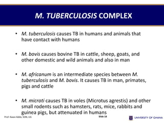 M. TUBERCULOSIS COMPLEX
• M. tuberculosis causes TB in humans and animals that
have contact with humans
• M. bovis causes bovine TB in cattle, sheep, goats, and
other domestic and wild animals and also in man
• M. africanum is an intermediate species between M.
tuberculosis and M. bovis. It causes TB in man, primates,
pigs and cattle
• M. microti causes TB in voles (Microtus agrestis) and other
small rodents such as hamsters, rats, mice, rabbits and
guinea pigs, but attenuated in humans
Prof. Kwasi Addo, SON, UG Slide 18
 