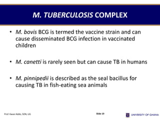 M. TUBERCULOSIS COMPLEX
• M. bovis BCG is termed the vaccine strain and can
cause disseminated BCG infection in vaccinated
children
• M. canetti is rarely seen but can cause TB in humans
• M. pinnipedii is described as the seal bacillus for
causing TB in fish-eating sea animals
Prof. Kwasi Addo, SON, UG Slide 19
 
