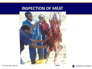 INSPECTION OF MEAT
Prof. Kwasi Addo, SON, UG Slide 33
 