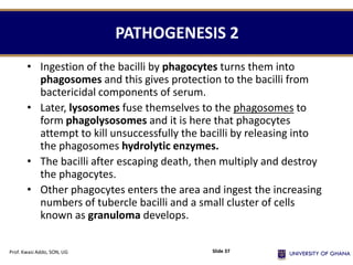 PATHOGENESIS 2
• Ingestion of the bacilli by phagocytes turns them into
phagosomes and this gives protection to the bacilli from
bactericidal components of serum.
• Later, lysosomes fuse themselves to the phagosomes to
form phagolysosomes and it is here that phagocytes
attempt to kill unsuccessfully the bacilli by releasing into
the phagosomes hydrolytic enzymes.
• The bacilli after escaping death, then multiply and destroy
the phagocytes.
• Other phagocytes enters the area and ingest the increasing
numbers of tubercle bacilli and a small cluster of cells
known as granuloma develops.
Prof. Kwasi Addo, SON, UG Slide 37
 