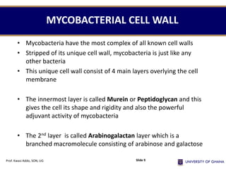 MYCOBACTERIAL CELL WALL
• Mycobacteria have the most complex of all known cell walls
• Stripped of its unique cell wall, mycobacteria is just like any
other bacteria
• This unique cell wall consist of 4 main layers overlying the cell
membrane
• The innermost layer is called Murein or Peptidoglycan and this
gives the cell its shape and rigidity and also the powerful
adjuvant activity of mycobacteria
• The 2nd layer is called Arabinogalactan layer which is a
branched macromolecule consisting of arabinose and galactose
Prof. Kwasi Addo, SON, UG Slide 9
 