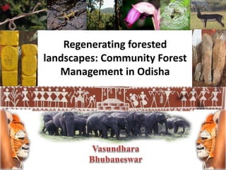 Regenerating forested
landscapes: Community Forest
Management in Odisha
 