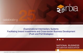 ©2009, NBIA. All rights reserved. (Supra)national Intermediary Systems  Facilitating Inward Investments and Cross-border Business Development (Push and Pull Strategies) 