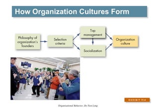How Organization Cultures Form E X H I B I T  17 –4 