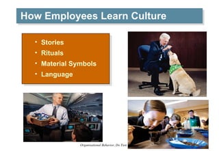 How Employees Learn Culture <ul><li>Stories </li></ul><ul><li>Rituals </li></ul><ul><li>Material Symbols </li></ul><ul><li...