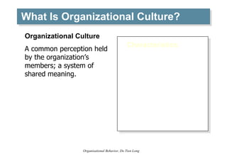 What Is Organizational Culture? <ul><li>Characteristics: </li></ul><ul><li>Innovation and risk taking </li></ul><ul><li>At...