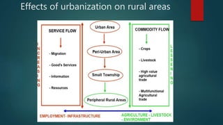 Effects of urbanization on rural areas
 