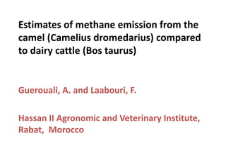 Estimates of methane emission from the
camel (Camelius dromedarius) compared
to dairy cattle (Bos taurus)

Guerouali, A. and Laabouri, F.
Hassan II Agronomic and Veterinary Institute,
Rabat, Morocco

 