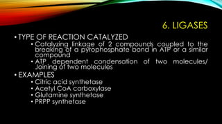 Comprehensive Guide to Enzymes: Nomenclature and Classification | PDF