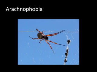 Arachnophobia
 