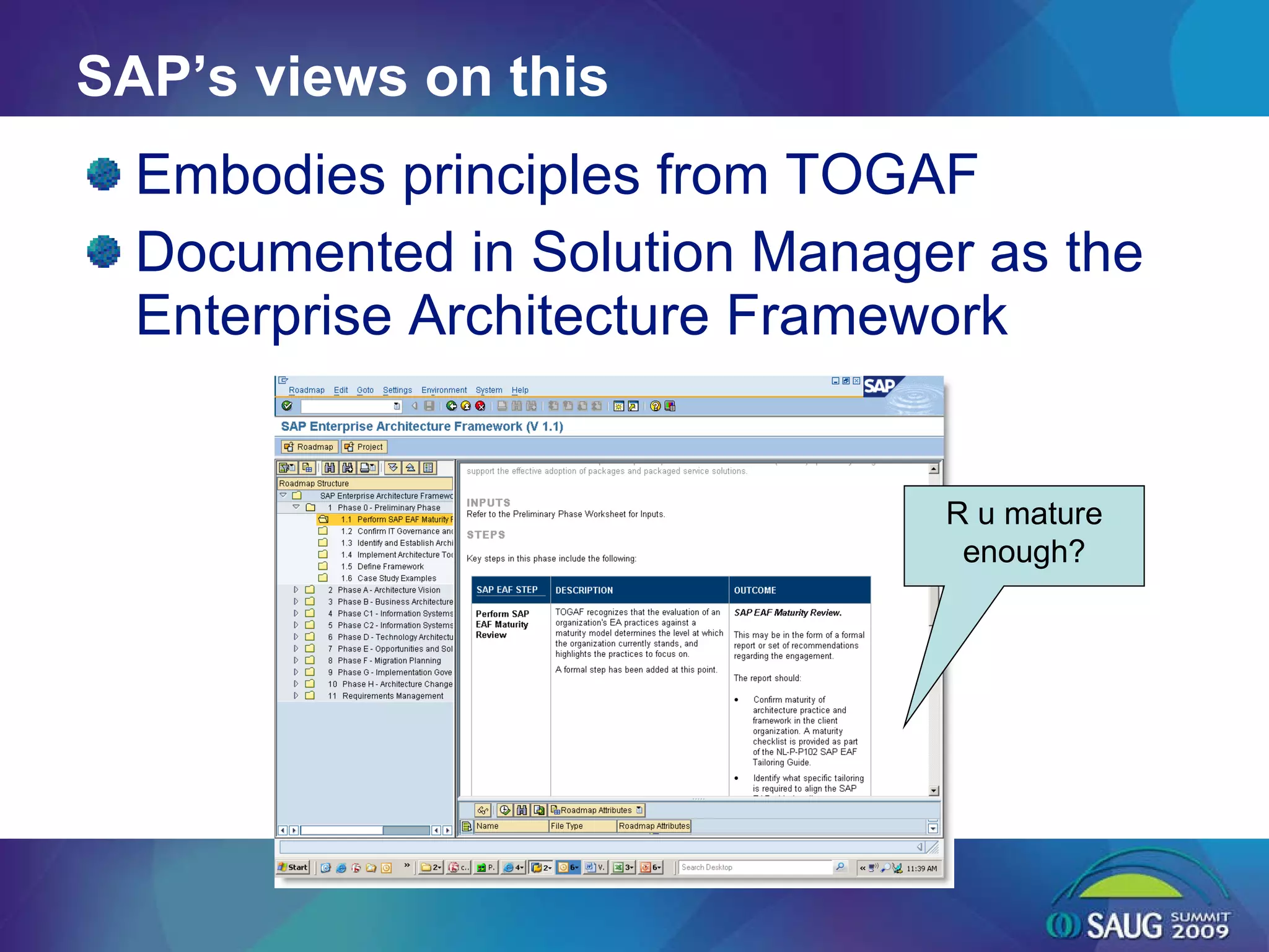 SAP’s views on this Embodies principles from TOGAF Documented in Solution Manager as the Enterprise Architecture Framework  R u mature enough? 