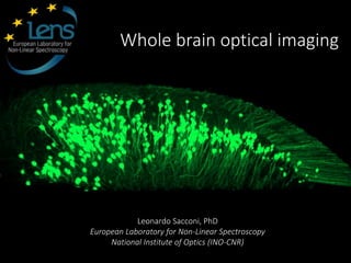 Whole brain optical imaging
Leonardo Sacconi, PhD
European Laboratory for Non-Linear Spectroscopy
National Institute of Optics (INO-CNR)
 