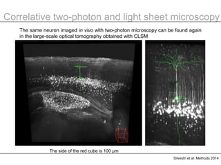 Whole brain optical imaging | PPTX