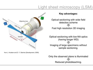 Whole brain optical imaging | PPTX