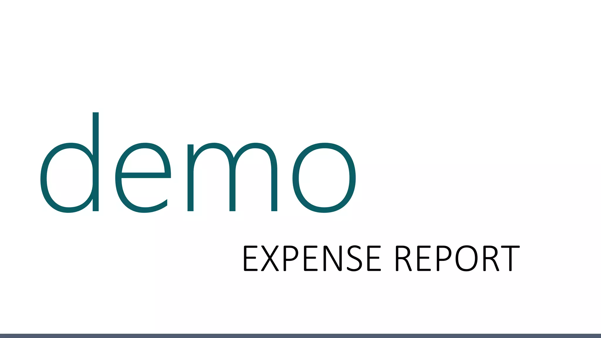 demoEXPENSE REPORT
 