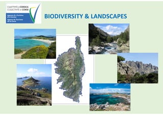 BIODIVERSITY & LANDSCAPES
 