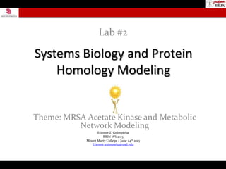 Systems Biology and Protein
Homology Modeling
Theme: MRSA Acetate Kinase and Metabolic
Network Modeling
Lab #2
Etienne Z. Gnimpieba
BRIN WS 2013
Mount Marty College – June 24th 2013
Etienne.gnimpieba@usd.edu
 