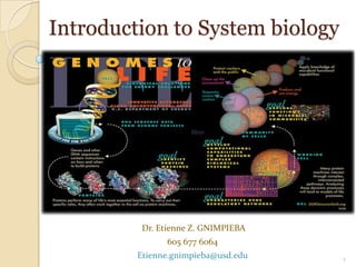 Introduction to System biology
1
Dr. Etienne Z. GNIMPIEBA
605 677 6064
Etienne.gnimpieba@usd.edu
 
