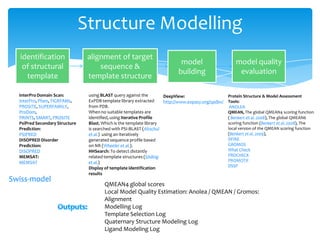 Swiss-model
identification
of structural
template
alignment of target
sequence &
template structure
model
building
model quality
evaluation
InterPro Domain Scan:
InterPro, Pfam, TIGRFAMs,
PROSITE, SUPERFAMILY,
ProDom,
PRINTS, SMART, PROSITE
PsiPred Secondary Structure
Prediction:
PSIPRED
DISOPRED Disorder
Prediction:
DISOPRED
MEMSAT:
MEMSAT
using BLAST query against the
ExPDB template library extracted
from PDB.
When no suitable templates are
identified, using Iterative Profile
Blast. Which is the template library
is searched with PSI-BLAST (Altschul
et al.) using an iteratively
generated sequence profile based
on NR (Wheeler et al.).
HHSearch: To detect distantly
related template structures (Söding
et al.)
Display of template identification
results
DeepView:
http://www.expasy.org/spdbv/
Protein Structure & Model Assessment
Tools:
ANOLEA
QMEAN, The global QMEAN4 scoring function
( Benkert et al. 2008), The global QMEAN6
scoring function (Benkert et al. 2008), The
local version of the QMEAN scoring function
(Benkert et al. 2009),
DFIRE
GROMOS
What Check
PROCHECK
PROMOTIF
DSSP
QMEAN4 global scores
Local Model Quality Estimation: Anolea / QMEAN / Gromos:
Alignment
Modelling Log
Template Selection Log
Quaternary Structure Modeling Log
Ligand Modeling Log
Structure Modelling
 
