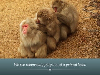 We see reciprocity play out at a primal level.
 