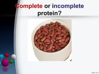 Session no. 2.2. biological molecules proteins and enzymes | PPT