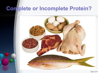 Session no. 2.2. biological molecules proteins and enzymes | PPT