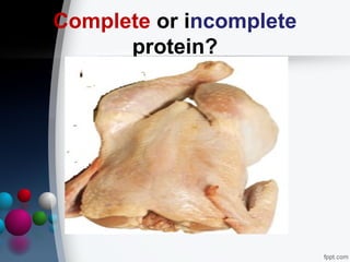 Session no. 2.2. biological molecules proteins and enzymes | PPT