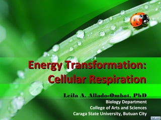 Session no. 3.2. energy transformation cellular respiration | PPT