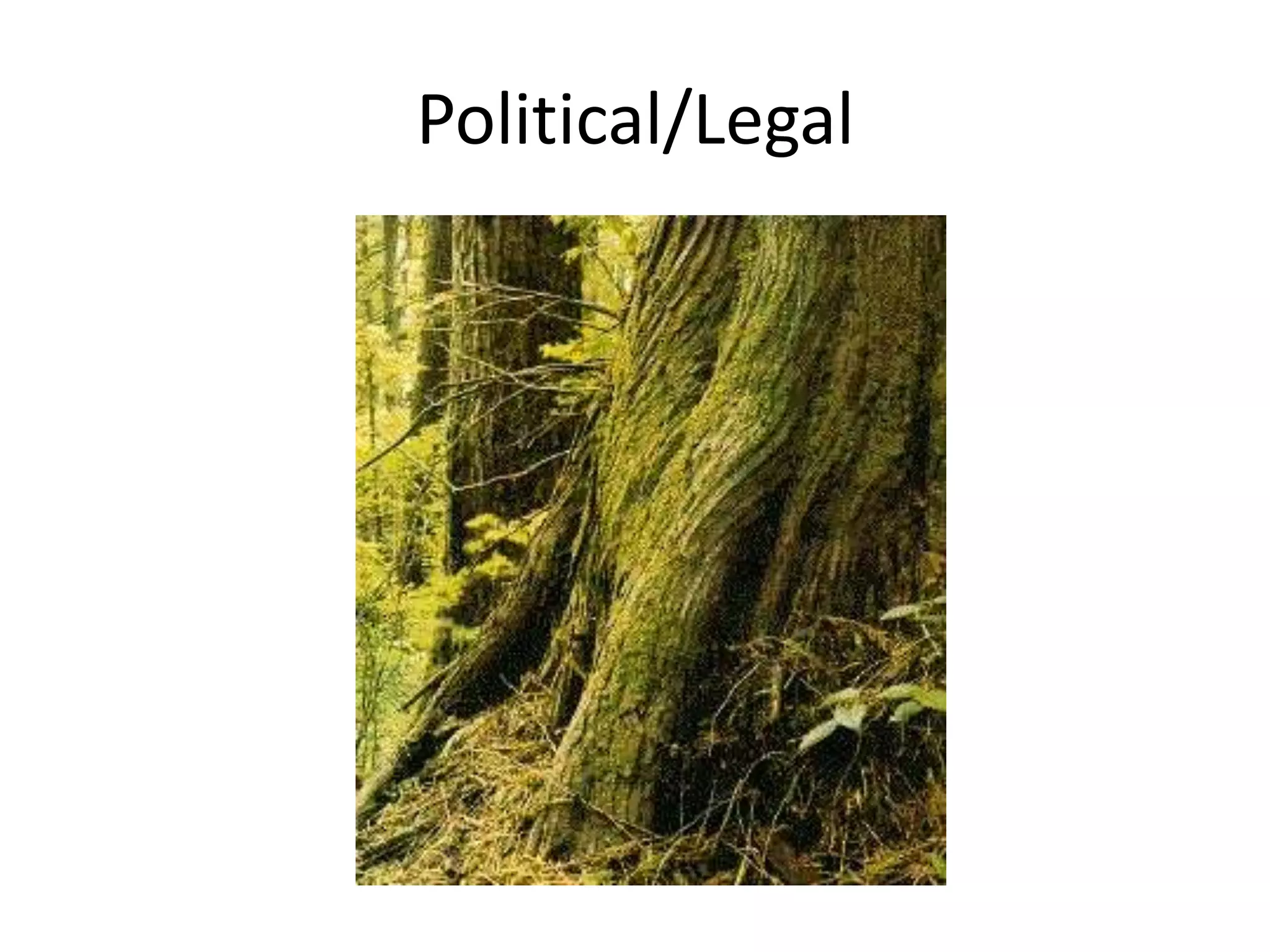 Political/Legal