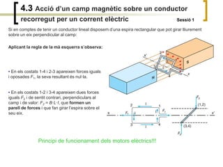4.3 Acció d’un camp magnètic sobre un conductor
recorregut per un corrent elèctric Sessió 1
Si en comptes de tenir un conductor lineal disposem d’una espira rectangular que pot girar lliurement
sobre un eix perpendicular al camp:
Aplicant la regla de la mà esquerra s’observa:
• En els costats 1-4 i 2-3 apareixen forces iguals
i oposades F1, la seva resultant és nul·la.
• En els costats 1-2 i 3-4 apareixen dues forces
iguals F2 i de sentit contrari, perpendiculars al
camp i de valor: F2 = B·L·I, que formen un
parell de forces i que fan girar l’espira sobre el
seu eix.
Principi de funcionament dels motors elèctrics!!!
 